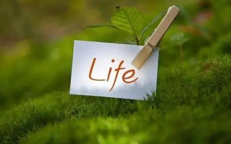 庖丁解牛什么意思，庖丁解牛的深层含义